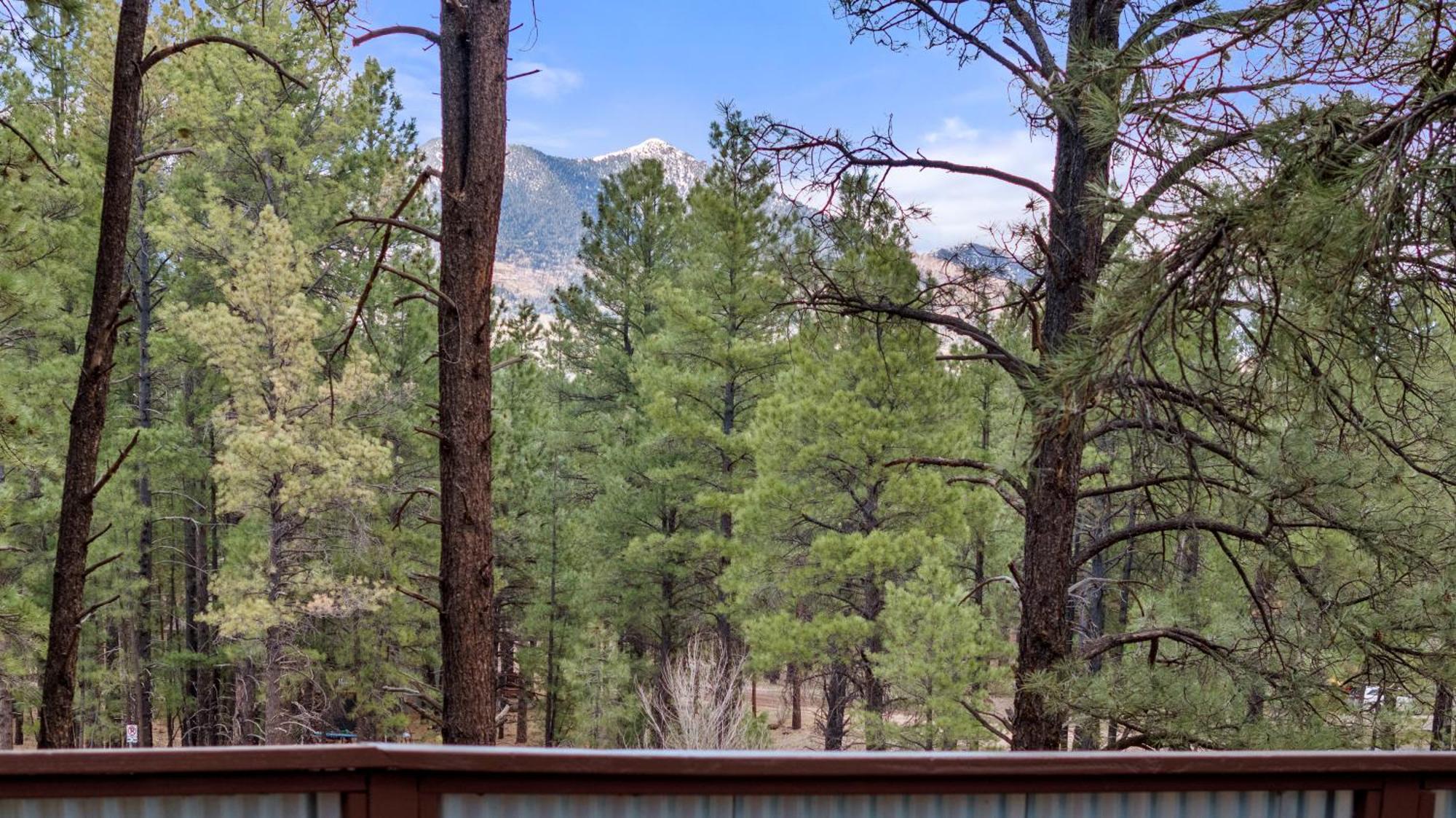 The Cozy Cottage Flagstaff Exterior foto